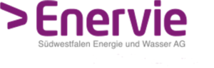ENERVIE ENERVIE